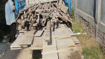 Der mit Holz beladene LKW